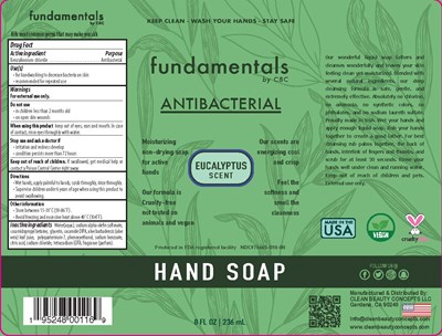 Euca 8oz (Funlb202009 00116antibacterial Soap Eucalyptus)